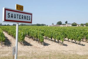 sauternes - thewinekart_com